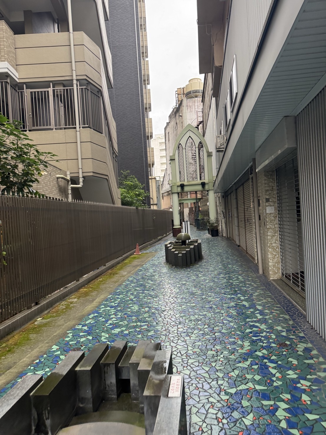 ～大樹のまったり一本道～