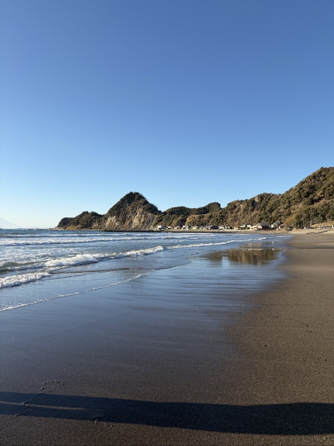 ～大樹のまったり一本道～
