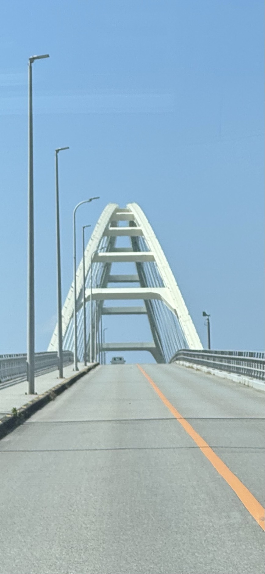 ～大樹のまったり一本道～