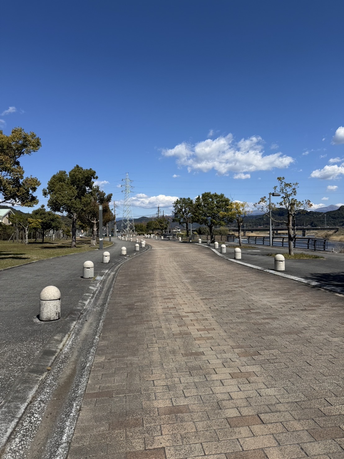 ～大樹のまったり一本道～