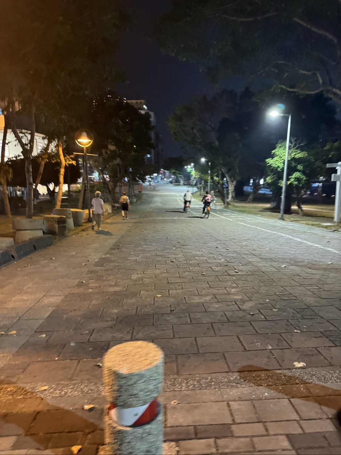 ～大樹のまったり一本道～