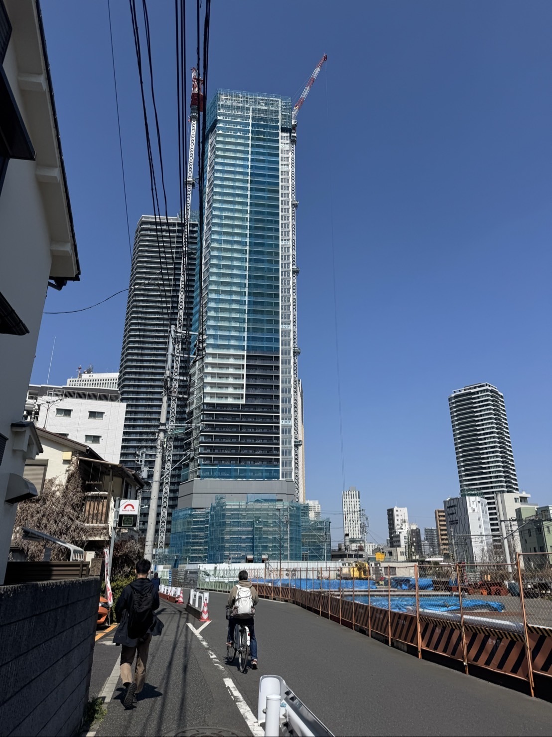 ～大樹のまったり一本道～