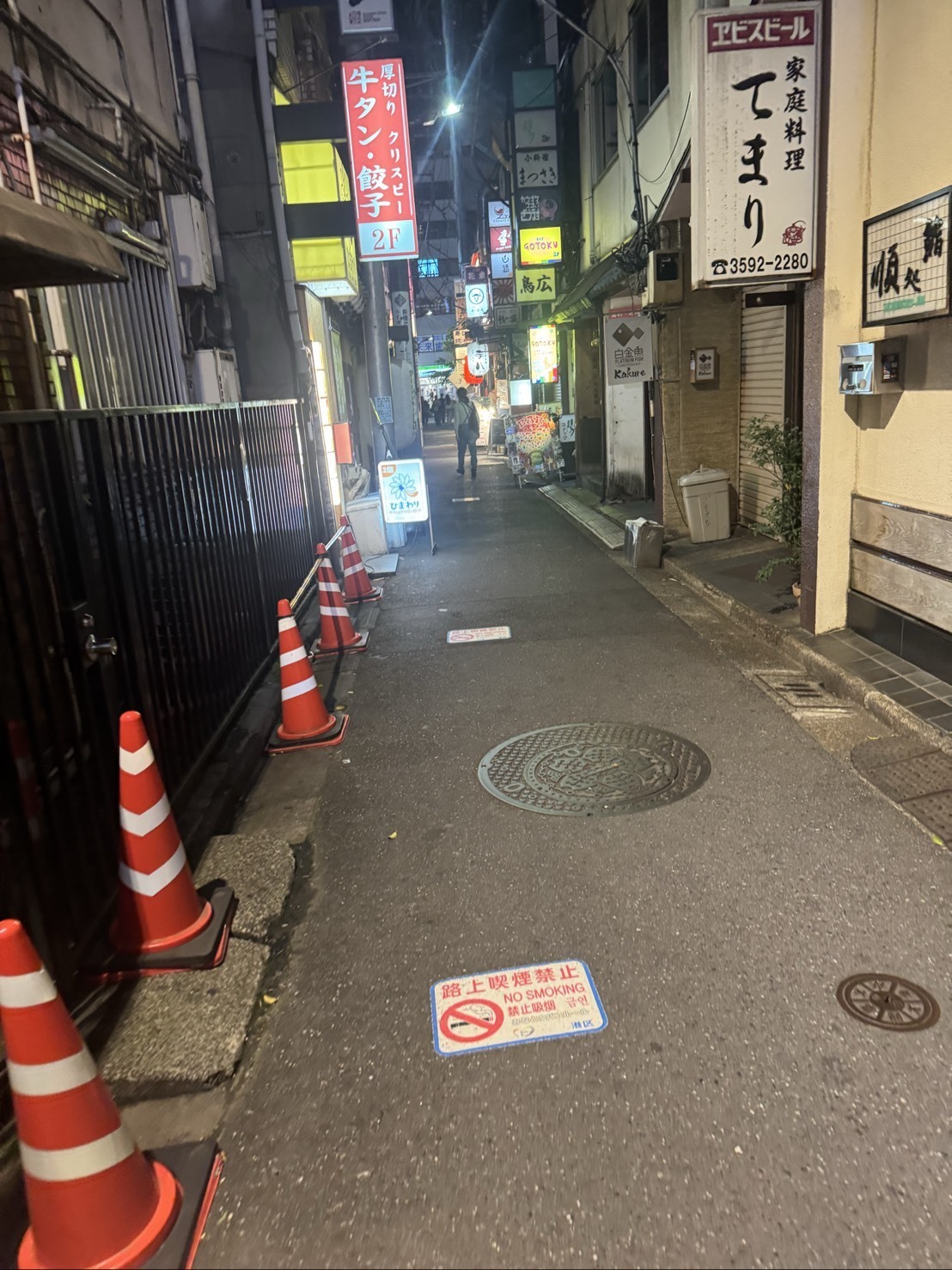 ～大樹のまったり一本道～