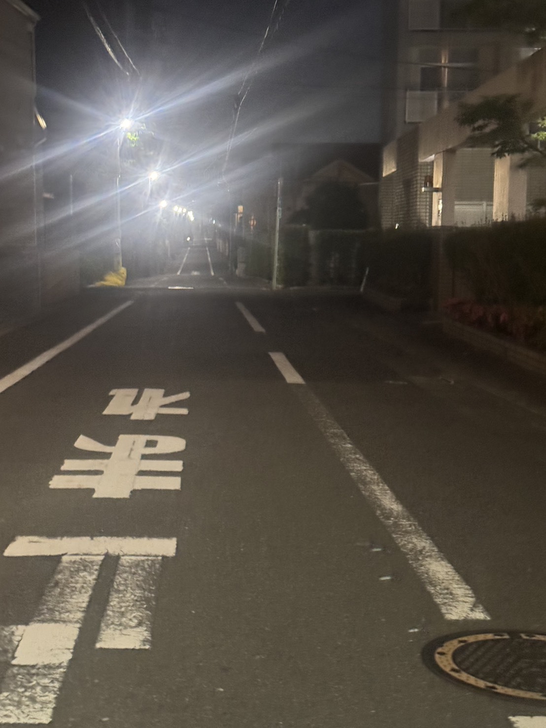 ～大樹のまったり一本道～