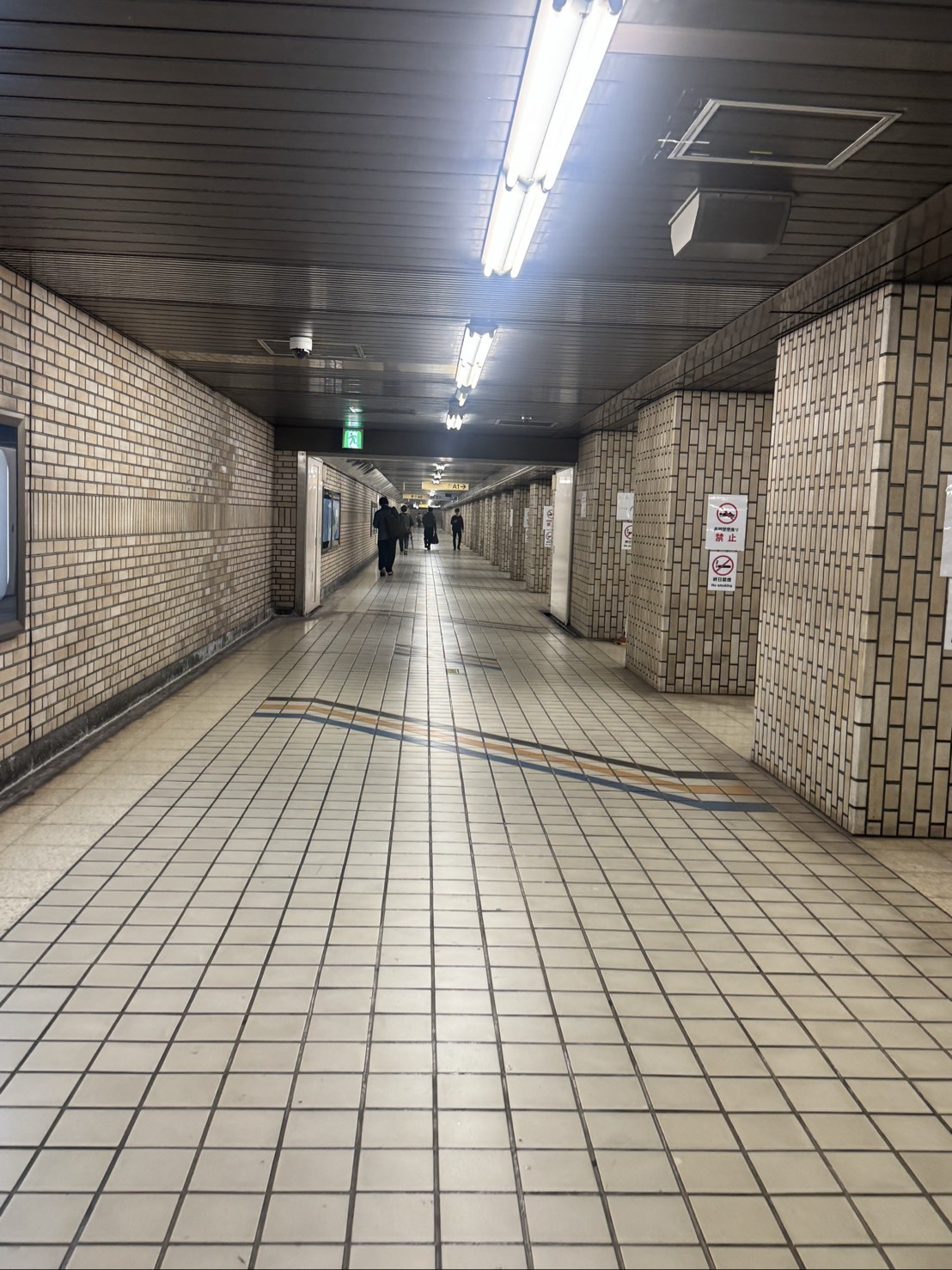 ～大樹のまったり一本道～