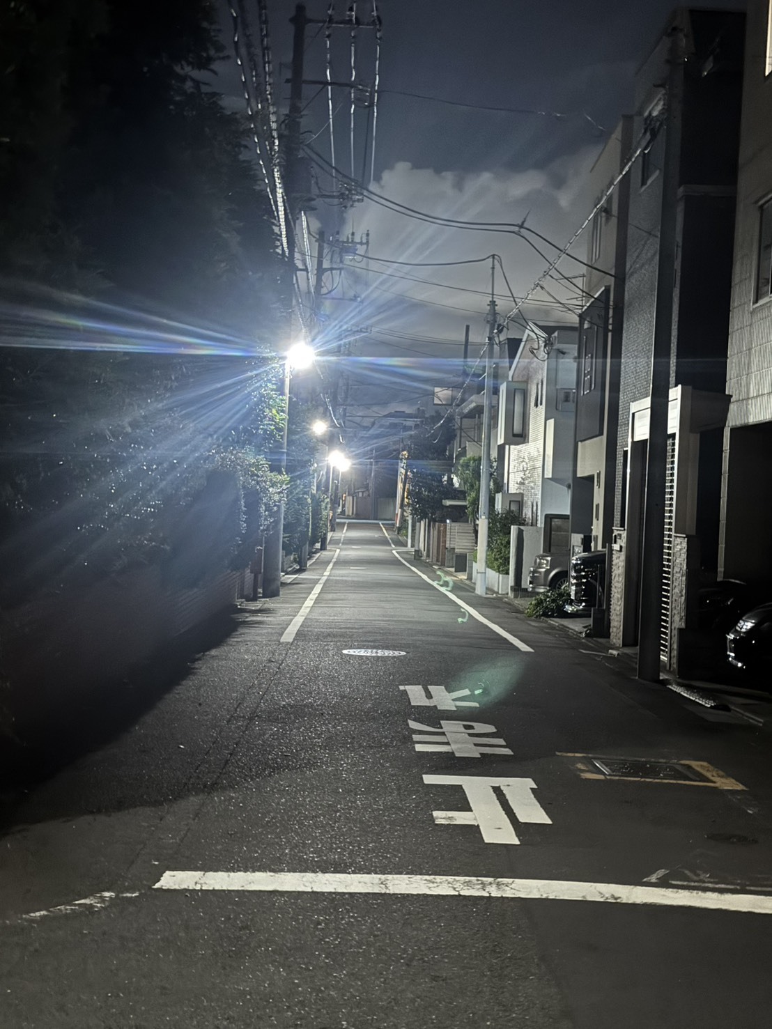 ～大樹のまったり一本道～