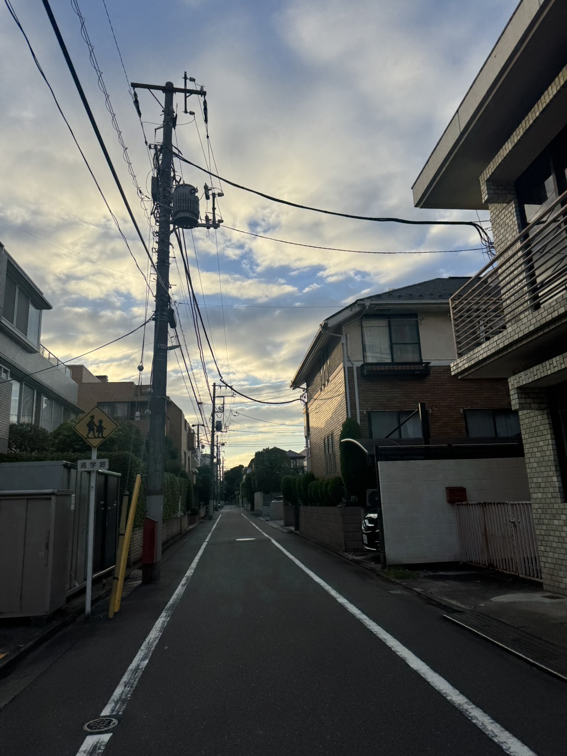 ～大樹のまったり一本道～