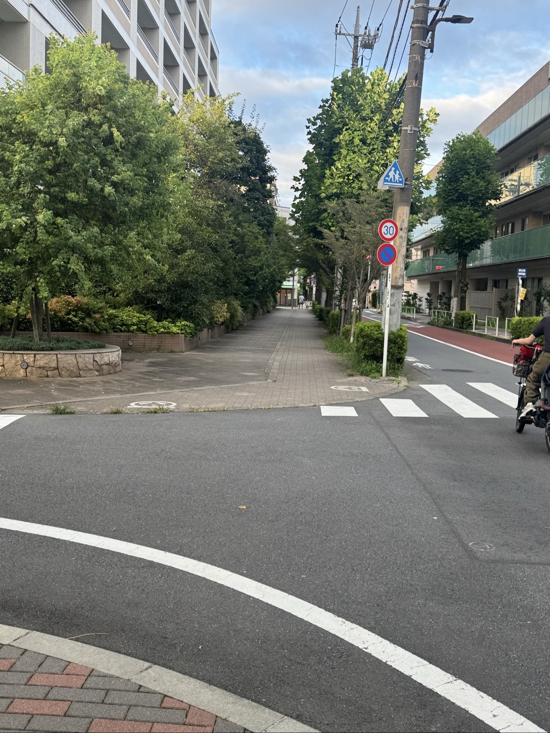 ～大樹のまったり一本道～