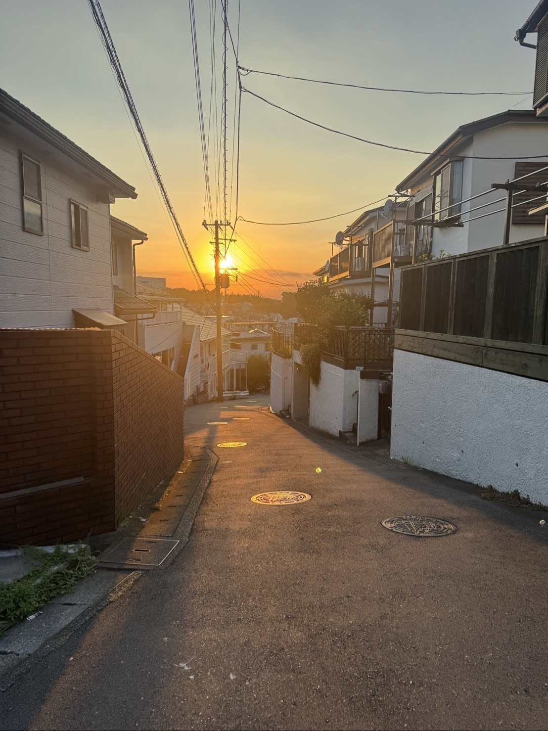 ～大樹のまったり一本道～